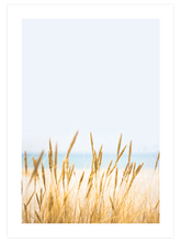 Buğday Tarlası N1 - Art Print